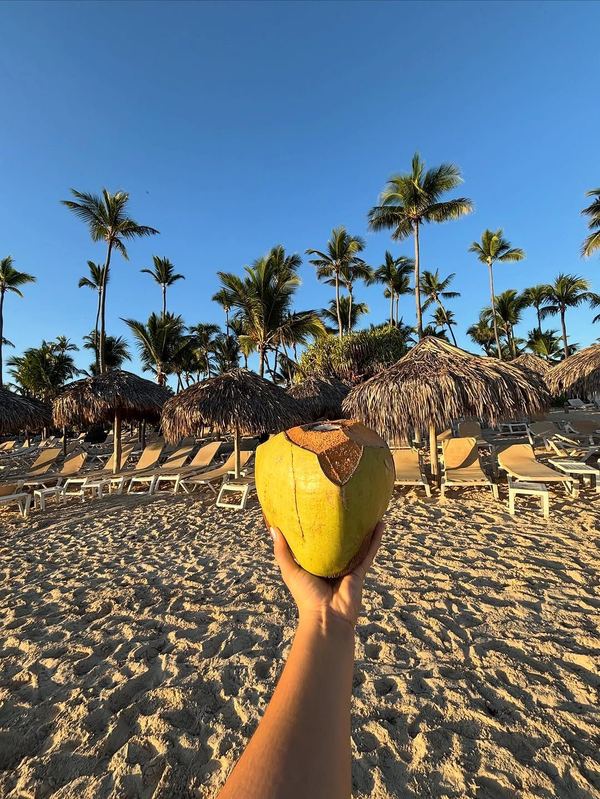 Coconut on the beach with palapas